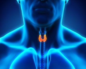 Home Health Care Kirkland WA - How Can You Help Your Senior Lower the Risk of Recurring Thyroid Cancer?